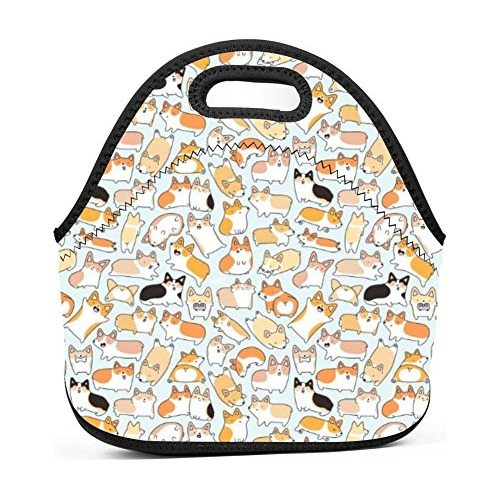 Bolsa De Almuerzo De Neopreno Aislado Para Perros Qwncd