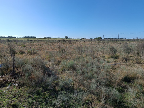 Vendo Muy Lindo Campo Con 2 Tajamares Para Riego, Alambrado, Pozos, Cañada, Monte, Financio Consulte