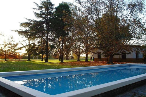 Imagen 2 de 6 de Lote Interno En Campo Daromy San Vicente