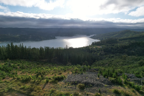 Imagen 2 de 14 de Oferta Hermoso Terreno En Lago Vichuquén - Vista Al Lago