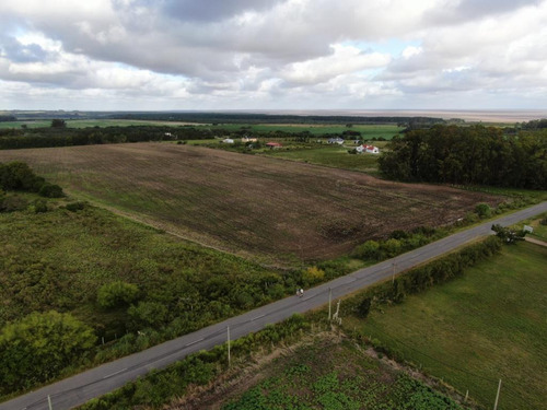 Imagen 2 de 5 de 6 Has En Venta En Colonia Del Sacramento - Uruguay