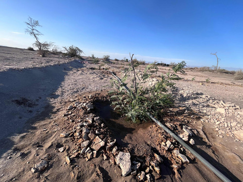 Gran Oportunidad De Inversión,parcelas En Venta En Latirana