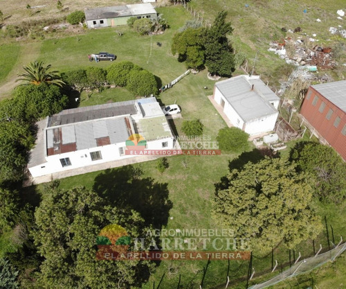 Imagen 7 de 30 de Chacra 4 Has Cno Calpino En Montevideo Rural