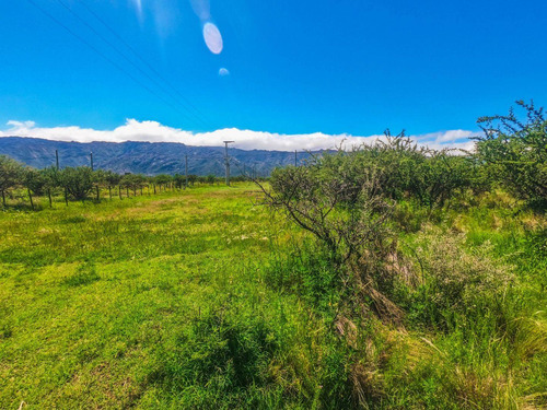 Imagen 4 de 9 de Terreno En Venta En Cortaderas