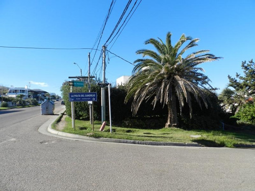 2 Lotes Para Locales
