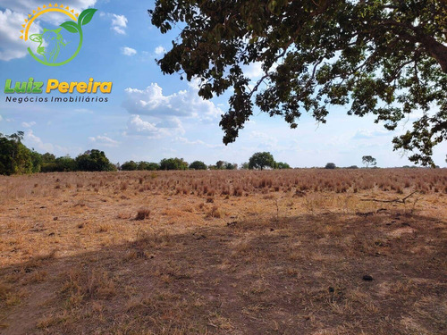 Imagem 8 de 12 de Fazenda À Venda Em Abreulândia - Pa - 1.427,8 Hectare (dupla Aptidão) - 2038