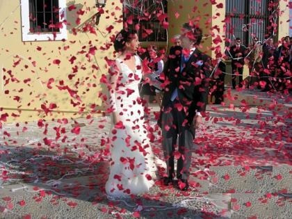 Imagen 2 de 2 de Cañon Lanzador De Petalos Rojos Artificiales 30 Cm