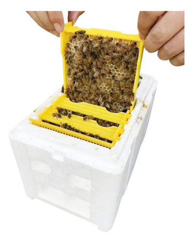 6 Cajas De Polinización Para Apicultura De Abejas