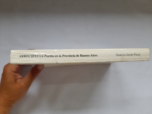 Arrecifes, Un Pueblo En La Pcia De Buenos Aires. G. Picoy (Usado)