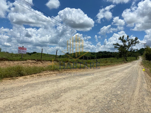 Imagem 5 de 6 de Terreno Para Venda Em Monte Mor, - - Terreno 3_1-2339146