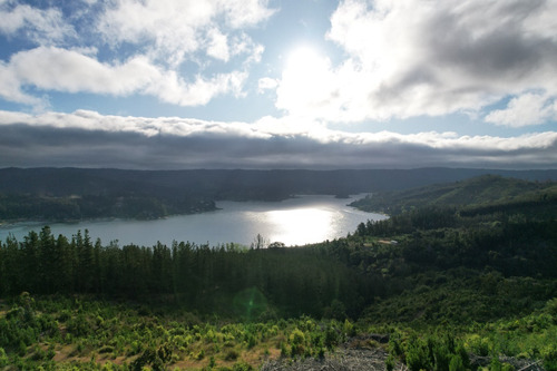 Imagen 3 de 14 de Oferta Hermoso Terreno En Lago Vichuquén - Vista Al Lago