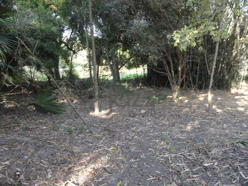 Imagem 25 de 30 de Sítio À Venda, 242000 M² Por R$ 11.734.000 - Parque São Bento - Sumaré/sp - Ar0032