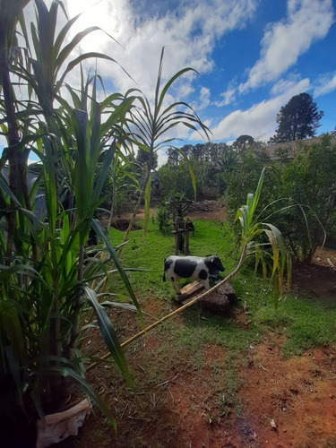 Imagem 7 de 7 de Chácara À Venda Em Araçoiaba Da Serra Pé No Asfalto