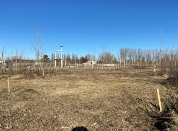 Imagen 4 de 6 de Terreno - Plottier