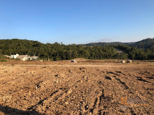 Imagem 12 de 27 de Terreno À Venda, 300 M² Por R$ 115.000,00 - São Giácomo - Caxias Do Sul/rs - Te0173