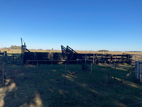 Campo En Venta Las Flores