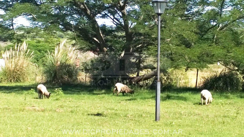 Casa 6 Ambientes En Campo De 3 Hectareas Piscina Quincho En Victoria Prov. De Entre Rios
