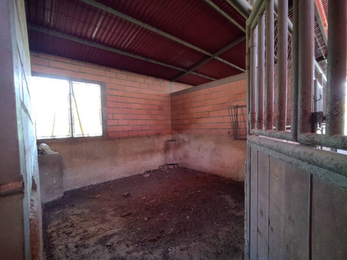 Vc Hacienda Chirgua Carabobo Tierras Propias Solo Clientes