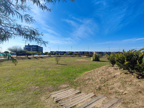Lote Docta Avenida Frente Al Parque 600m2