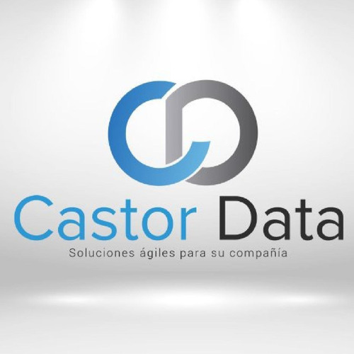 Imagen 6 de 6 de Grapa Estandar Galvanizada Caja Por Cinco Mil Unidades Trint