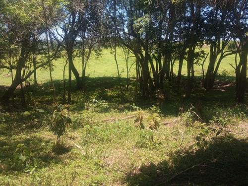 Imagem 11 de 26 de Tm- Vendo Lote Barato Tratar Direto Com Proprietário