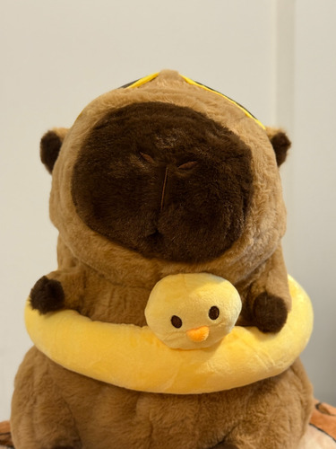 Peluche Capibara 40cm Con Manta Suave Patito Flotador