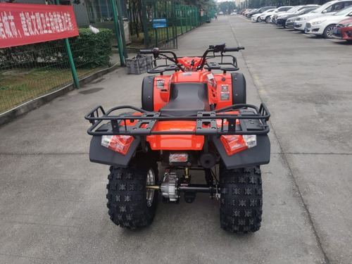 Imagen 15 de 17 de Cuatrimoto Hammer 250cc Semiautomatic Cardan 0 Klm 2022