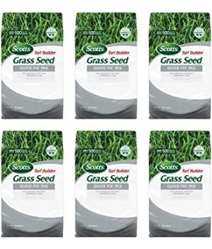 Scotts Fertilizante 18272 turf Builder Quick Fix Mix (6 pack