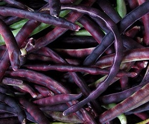 Sementes De Feijão De Corda Caupi Macáçar Frade Crioulo Roxo