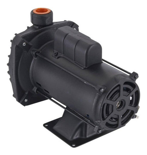 Bomba Centrífuga 1cv Monofásica 110/220v Cp6r Dancor
