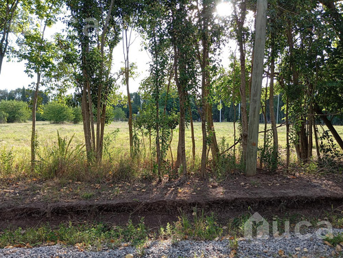 Espectacular Terreno En Venta En Semicerrado En Las Chacras, Zona La Cañada