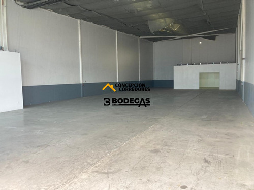 Arriendo Bodega De 390 M2 Carretera San Martin, Quilicura.