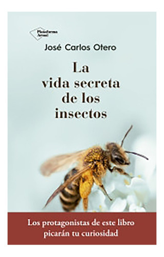 Libro La Vida Secreta De Los Insectos.: Libro La Vida Secreta De Los Insectos., De Juan Carlos Otero. Editorial Plataforma, Tapa Blanda En Castellano