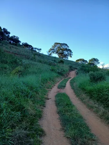 Propriedade Rural 22 Hectares