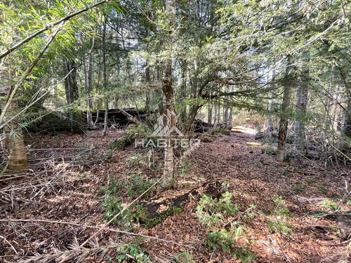 Venta De Parcela Cordillerana 7000m2 Coñaripe En Panguipulli