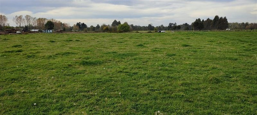 Imagen 3 de 11 de Se Vende Terreno Agrícola 1,5 Ha Quema Del Buey, Puyehue,