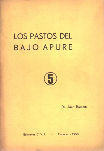 Los Pastos Del Bajo Apure Juan Borsotti Ediciones Cvf 