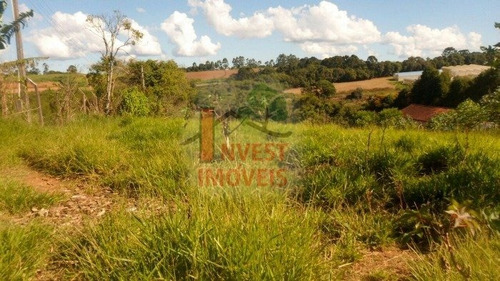 Imagem 3 de 4 de Terreno - Ref: 2644 - V-2644