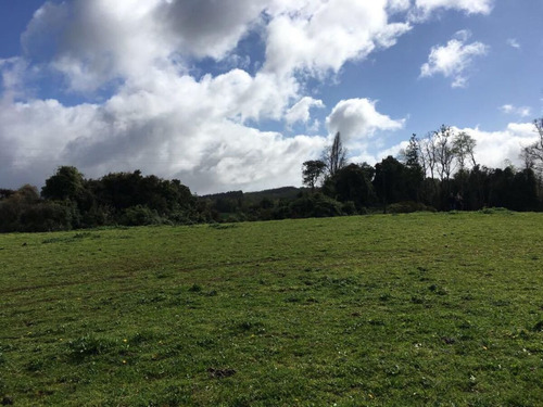 Hermosa Parcela En Rapaco Sector Los Canales La Union