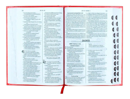 Imagen 2 de 4 de Sagrada Biblia Dios Habla Hoy Tapa Dura Roja + Obsequio