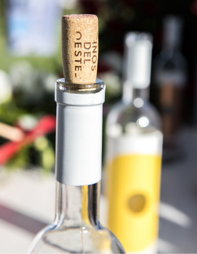 Vino Blanco Juego De Pelota 01 Riesling 750ml