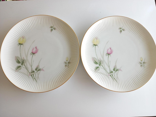 2 Platos De Masas Porcelana Thomas Rosenthal