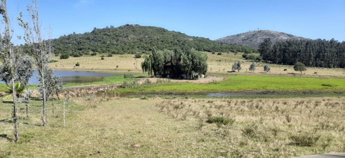 Campo Sobre Ruta Interbalnearia