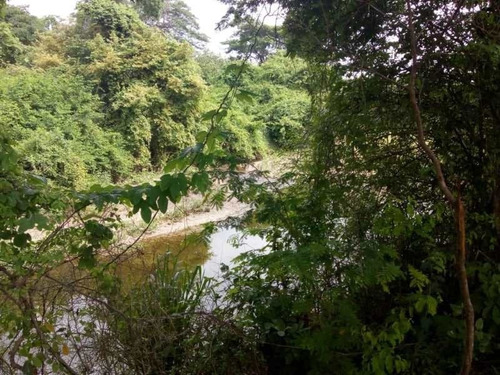 Imagen 14 de 15 de Finca En Venta. Gran Oportunidad.