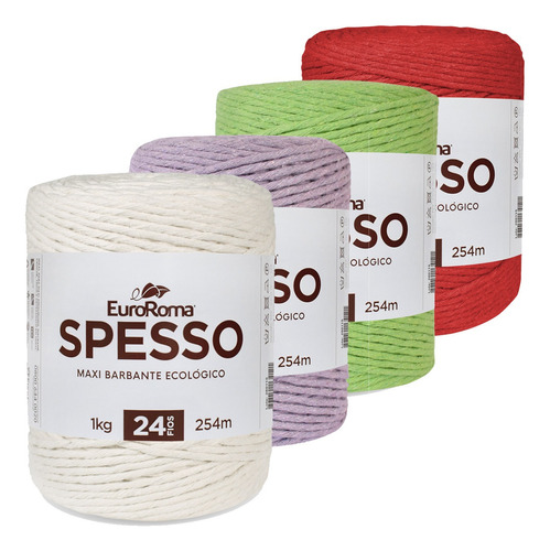 Kit 4 Barbantes Spesso Euroroma 24 Fios 1 Kg - Escolha Cores