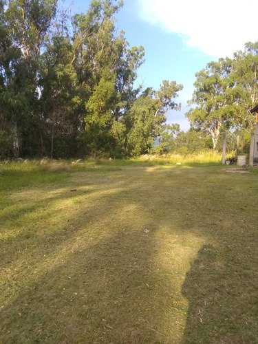Imagen 3 de 6 de Los Reartes 4 Lotes De 700m2 C/uno. Entreg 4mil Y 3ctas 1600