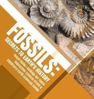 Fossils : Secrets To Earth's History - Fossil Guide - Geo...