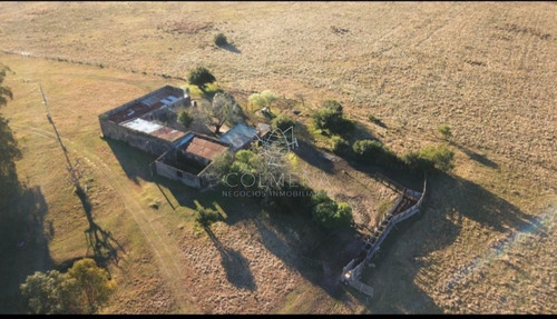 Imagen 17 de 29 de Campo En Jose Ignacio - Jose Ignacio