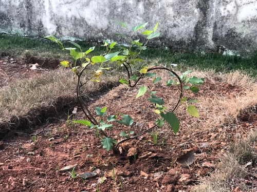 Imagem 21 de 27 de Casa À Venda Em Igarapé Bairro Três Poderes - Ca1193