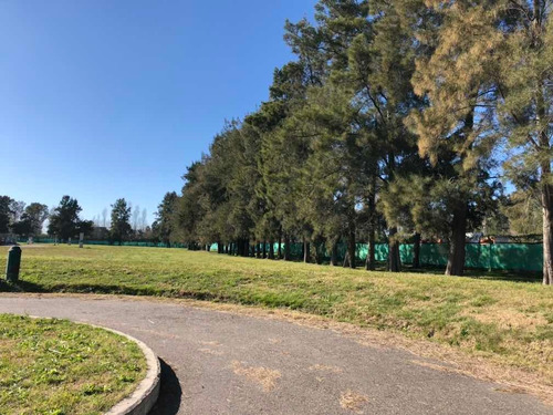 Lote En Fincas De Alvarez